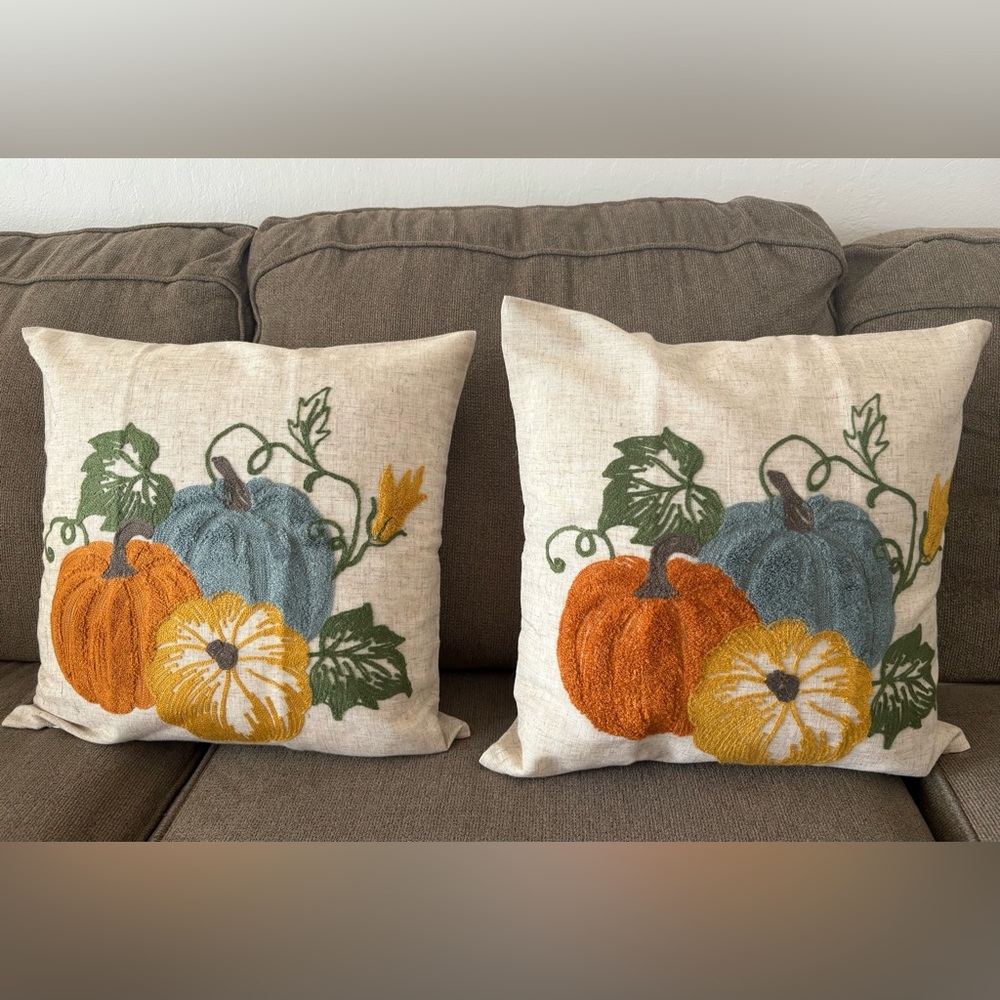 Autumn Harvest Accent Pillow Cover Set + 2 Pottery Barn Pillows
